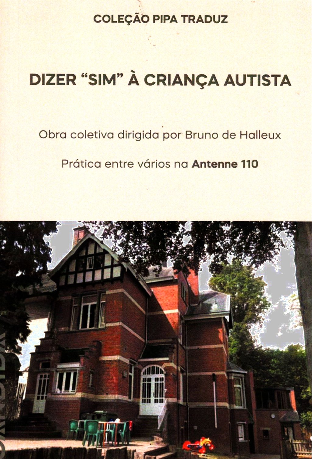 Imagem de DIZER "SIM" À CRIANÇA AUTISTA