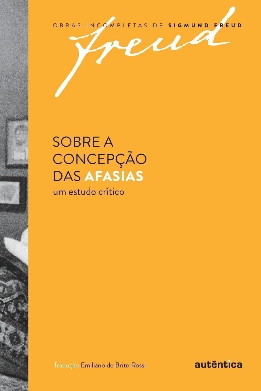 Imagem de SOBRE A CONCEPÇÃO DAS AFASIAS